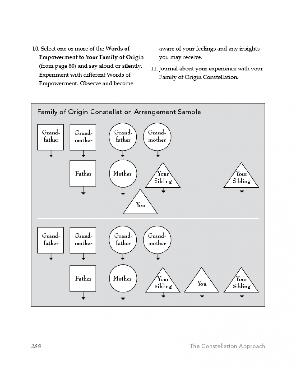 The Constellation Approach™ Book - Jamy & Peter Faust